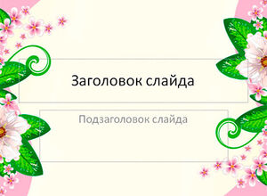 Белый фон с розовыми цветами