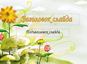Грибы