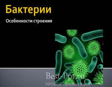 Бактерии. Особенности строения Презентация: Бактерии. Особенности строения