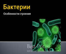 Скачать презентацию: Бактерии. Особенности строения