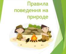 Скачать презентацию: Правила поведения на природе