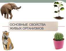 Презентация: Основные свойства живых организмов