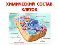 Презентация: Химический состав клеток