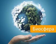Презентация: Биосфера
