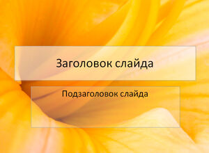 Жёлтый цветок