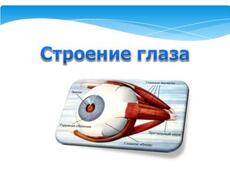 Презентация: Строение глаза