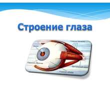 Скачать презентацию: Строение глаза