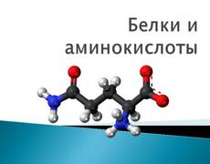 Презентация: Белки и аминокислоты