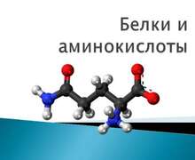 Скачать презентацию: Белки и аминокислоты