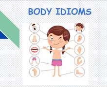 Скачать презентацию: Body idioms