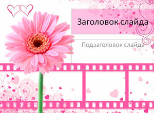 Розовый цветок и кинолента