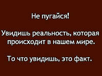 Скачать презентацию: Что делают в Тайване с абортированными детьми?