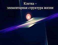 Презентация: Клетка - элементарная структура жизни