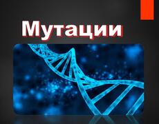 Презентация: Мутации