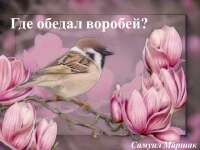 Скачать презентацию: Где обедал воробей?