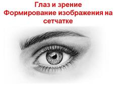 Презентация: Глаз и зрение. Формирование изображения на сетчатке