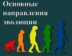 Презентация: Основные направления эволюции