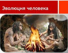 Презентация: Эволюция человека