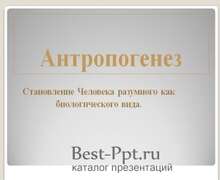 Скачать презентацию: Антропогенез