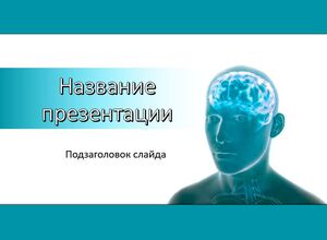 Человеческий мозг