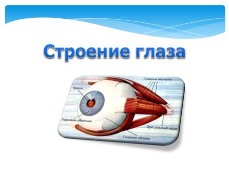 Строение глаза