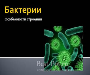 Бактерии. Особенности строения