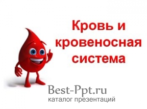 Кровь и кровеносная система